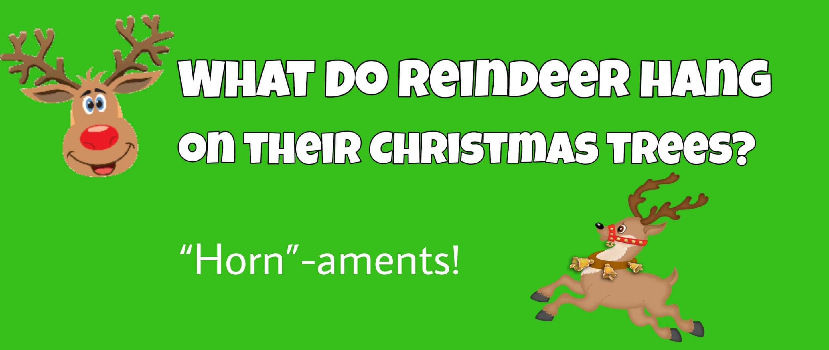 Top 60 Funny Christmas Jokes For Kids 3