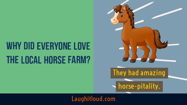 Horse puns