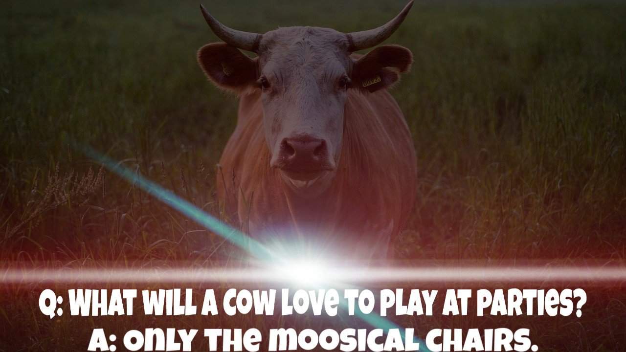 Top 100 Cow Jokes For Kids 2