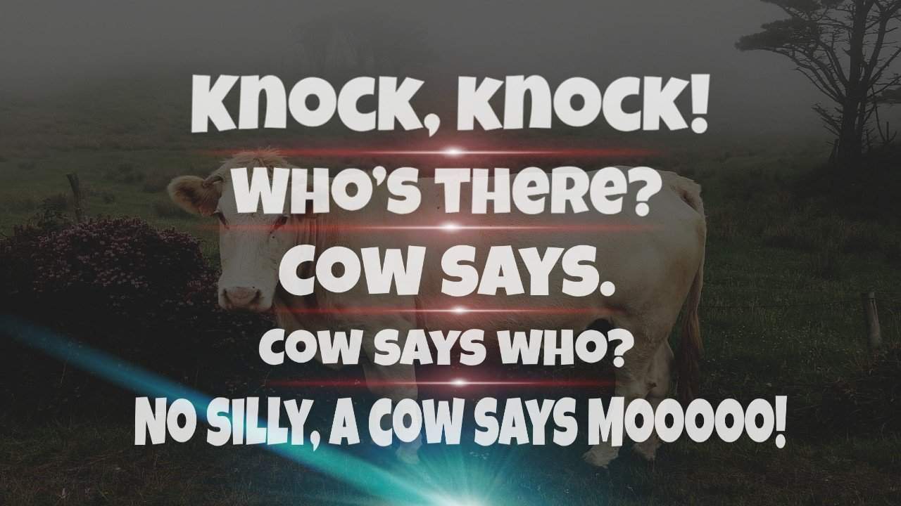 Cow Jokes For Kids