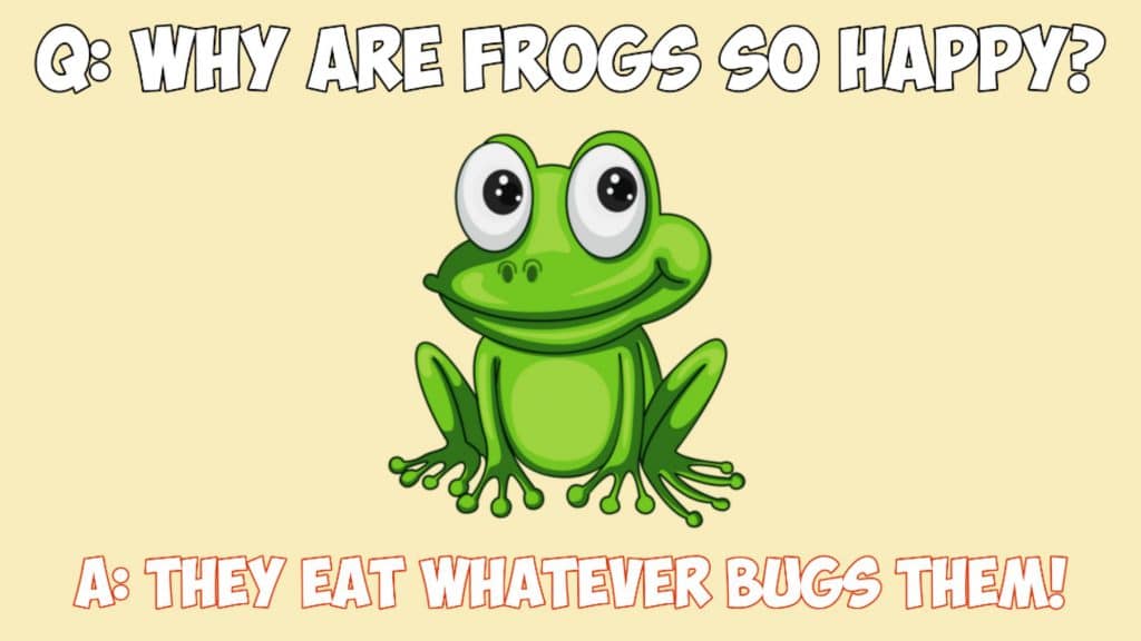 84+ Frog Puns And Jokes To Make You Laugh | Laughitloud