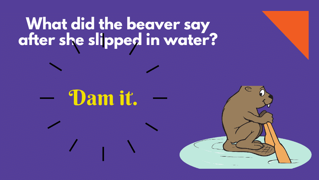 70+ Hilarious Water Puns for Every Occasion 1