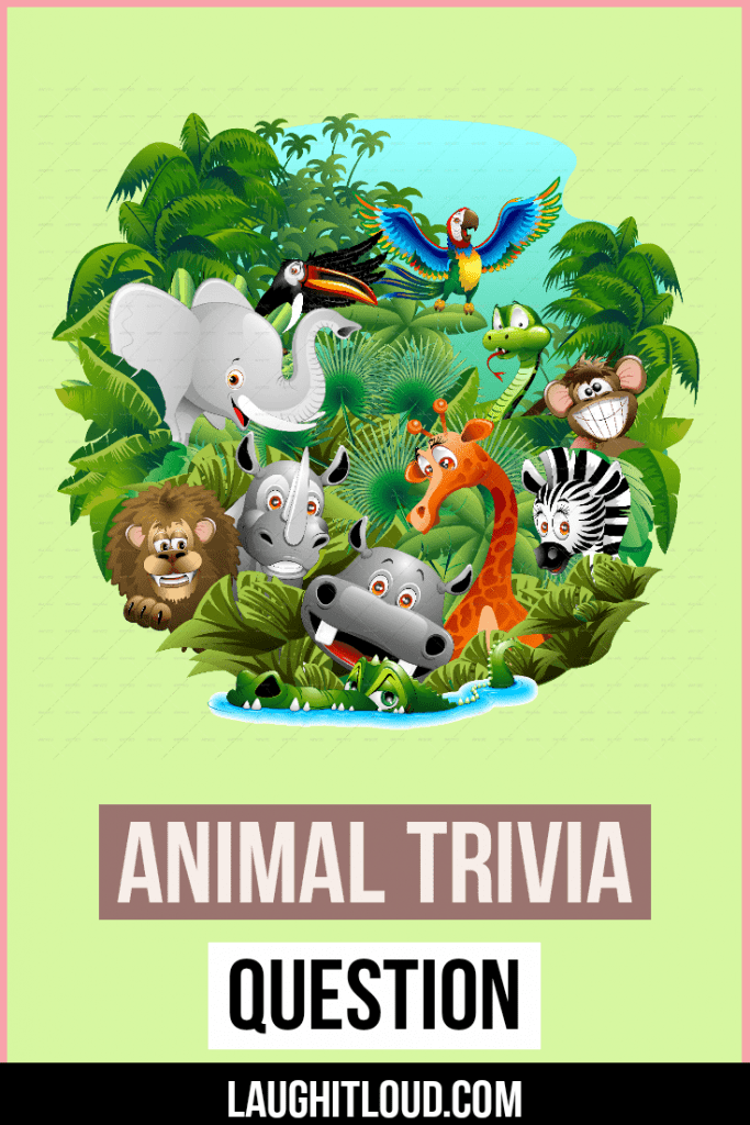 105+ Animal Trivia Questions With Answers | Laughitloud